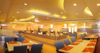 Hotel DSF GRand PLazas