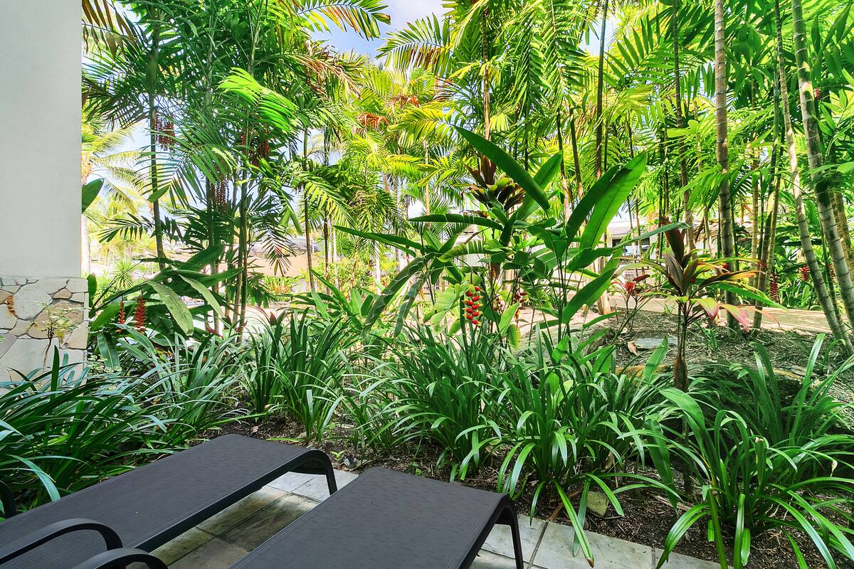 Un patio con mesa y sillas, rodeado de exuberante vegetación tropical y palmeras.