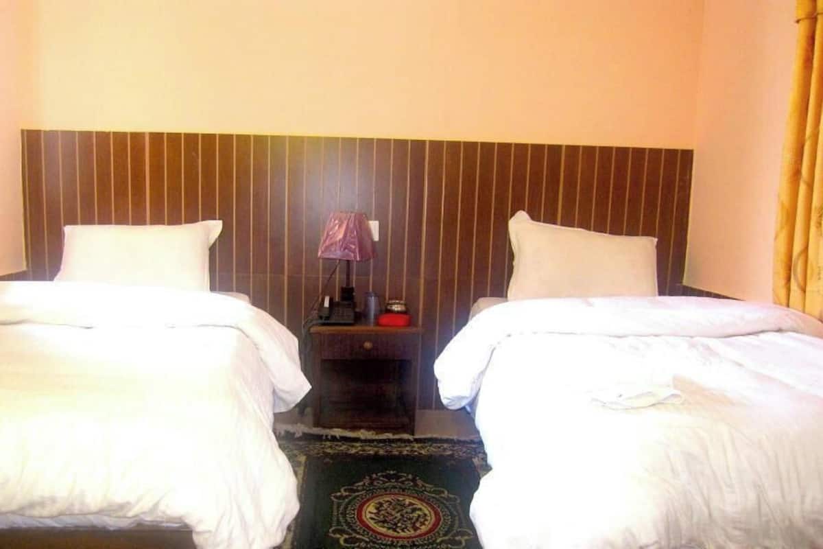 A hotel room with two beds, a nightstand, a lamp, and a decorative rug.