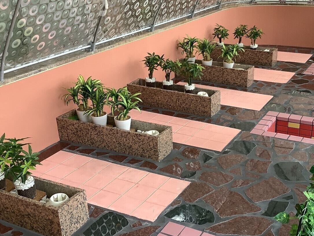 Una serie de macetas con plantas dispuestas a lo largo de un muro curvo y una cortina con diseño.