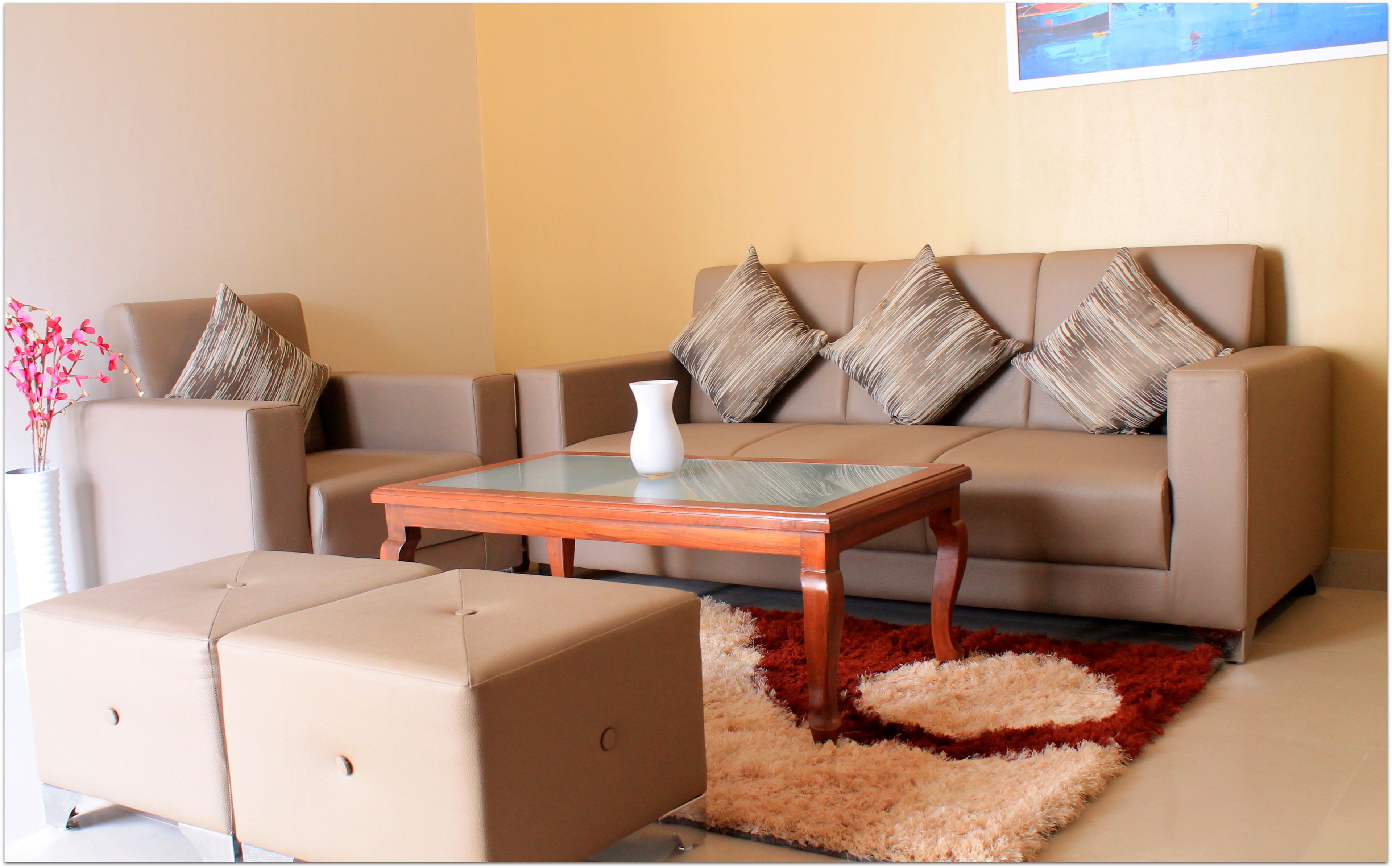 A living room with a sofa, a glass-top coffee table, and a fluffy red rug.