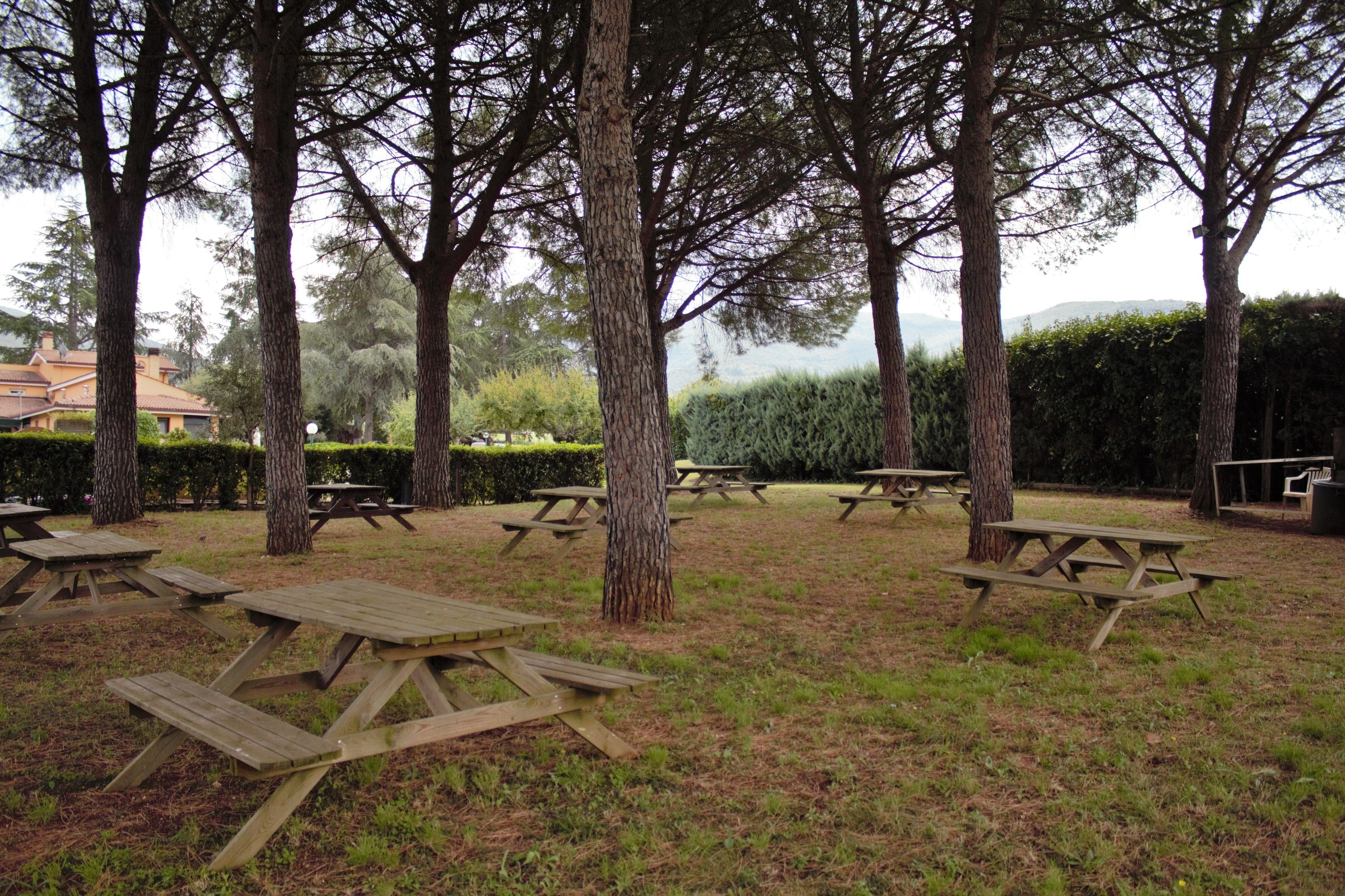 Een picknickplaats met meerdere houten tafels en banken, omringd door bomen en een haag.