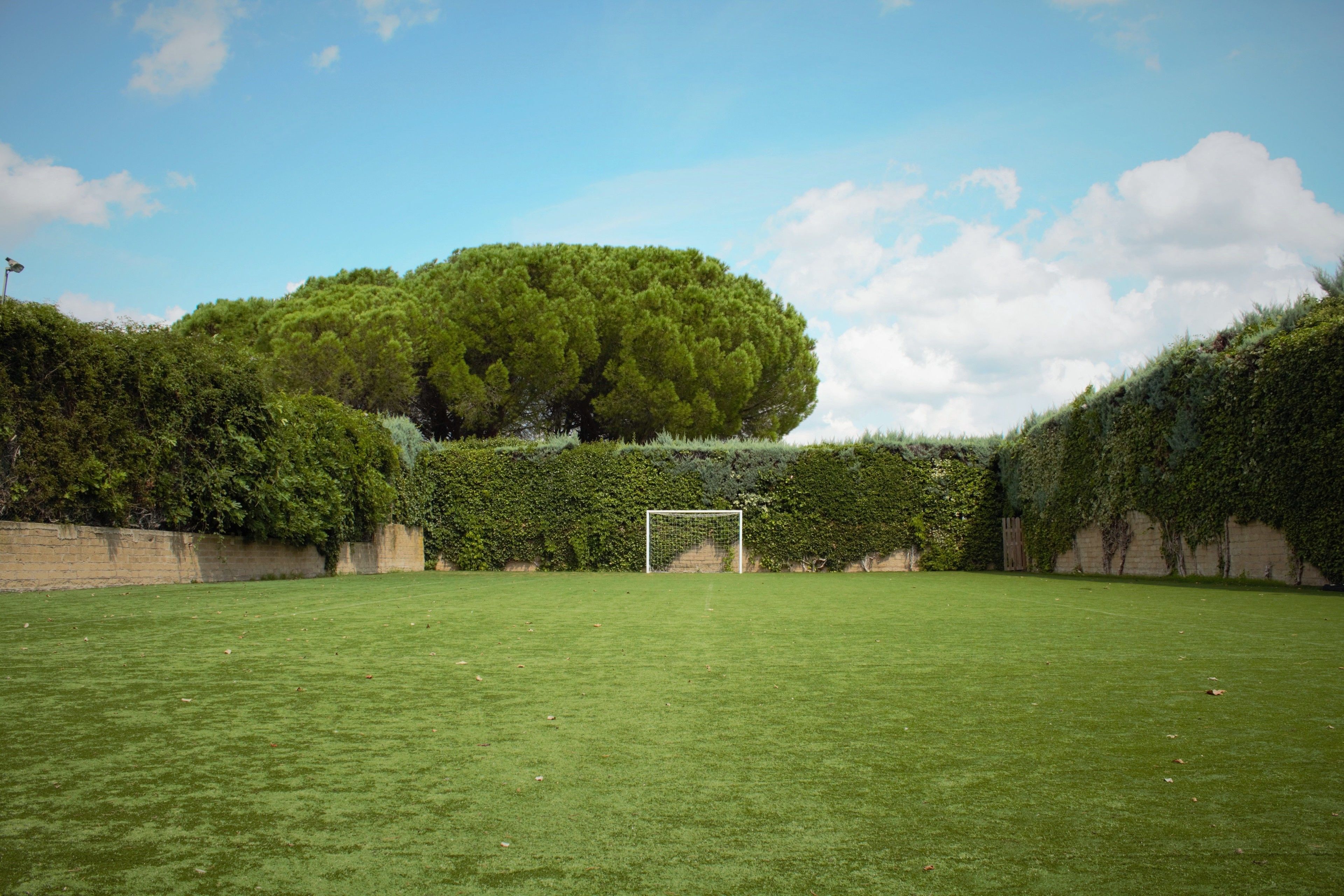 A well-maintained grassy field with a goalpost, surrounded by dense greenery and a clear sky.