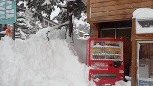 A Coca-Cola vending machine partially buried in snow, with a wooden building in the background. - Hakuba Cortina Backpackers - Hostel (Otari)