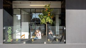 A storefront with a glass window displaying a tree with oranges and the name "BenBo".