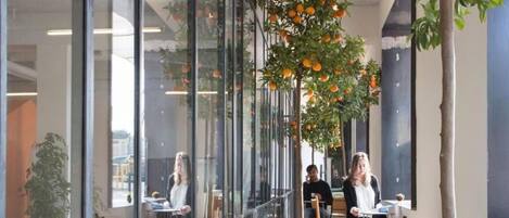 An indoor space with glass walls, wooden flooring, and a tree with oranges.