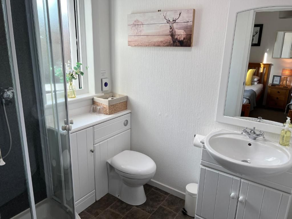 A bathroom with a shower, toilet, sink, and a mirror.