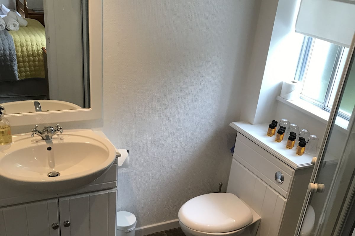 Family Triple Room | Bathroom | Free toiletries, towels