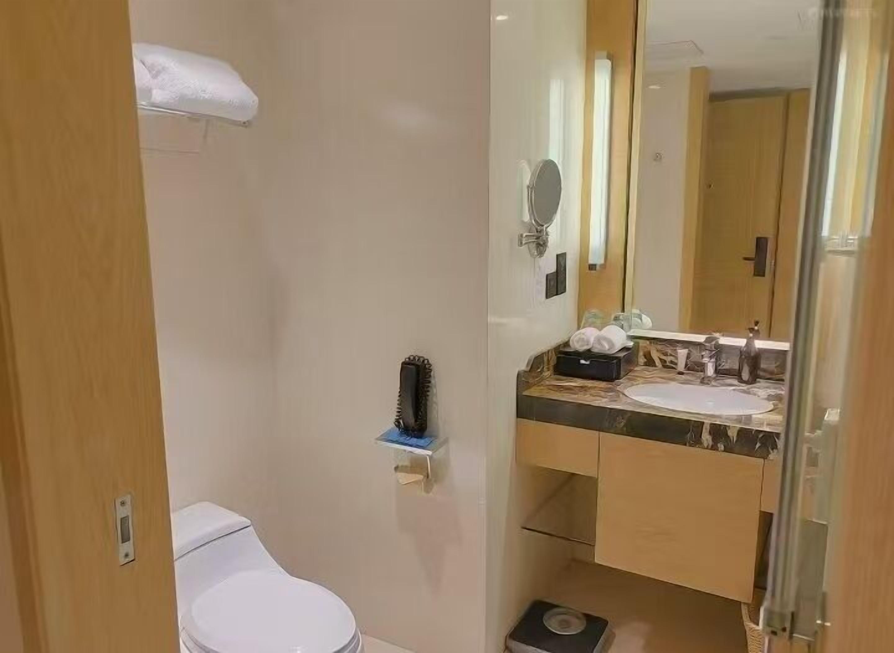 A bathroom with a toilet, a sink, a mirror, and a towel rack.