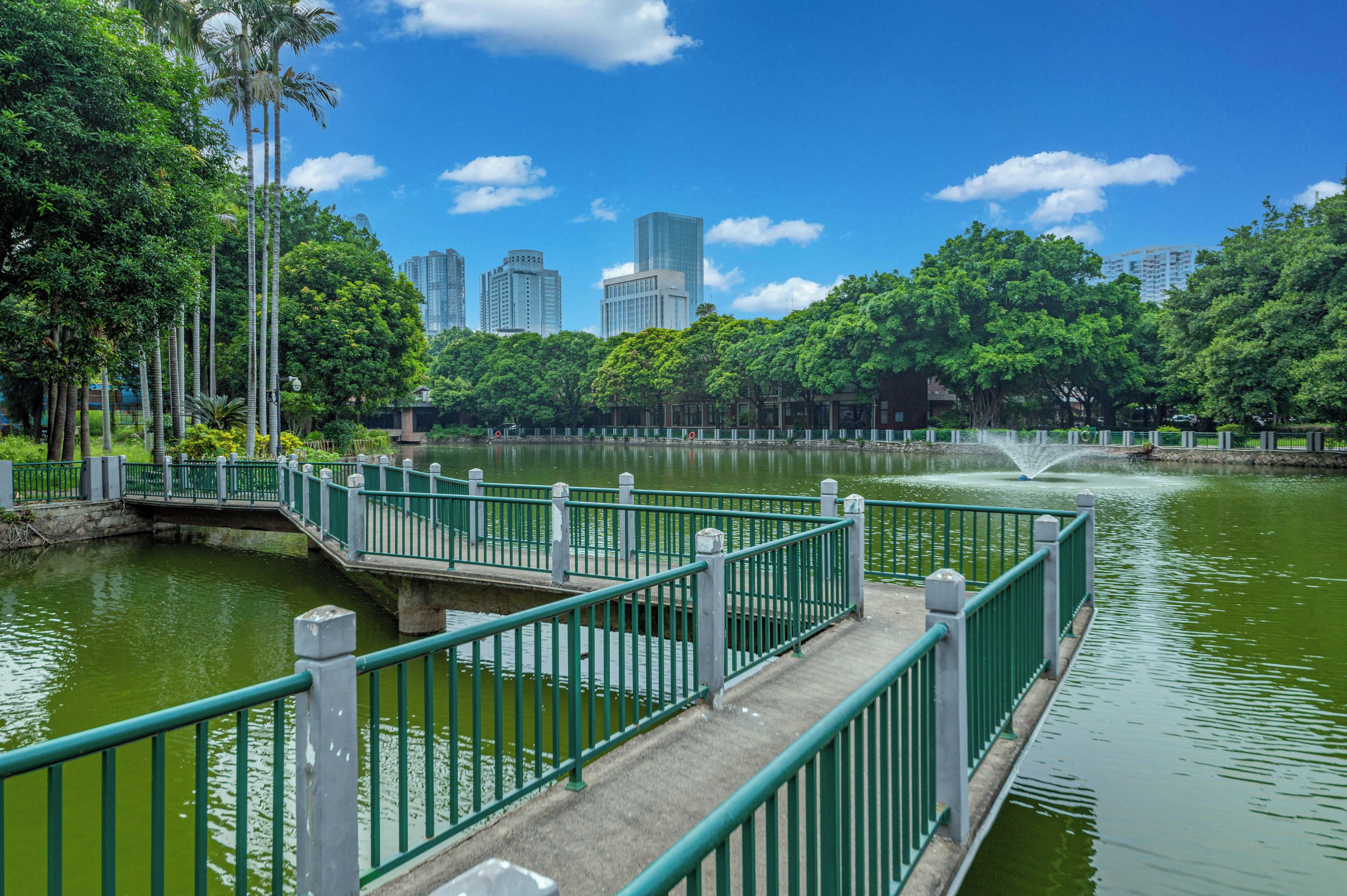 Un parque con un puente sobre el agua, rodeado de vegetación y altos edificios al fondo.