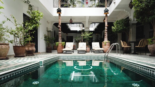 Un área de piscina con sillones de descanso, plantas en macetas y suelo de baldosas.