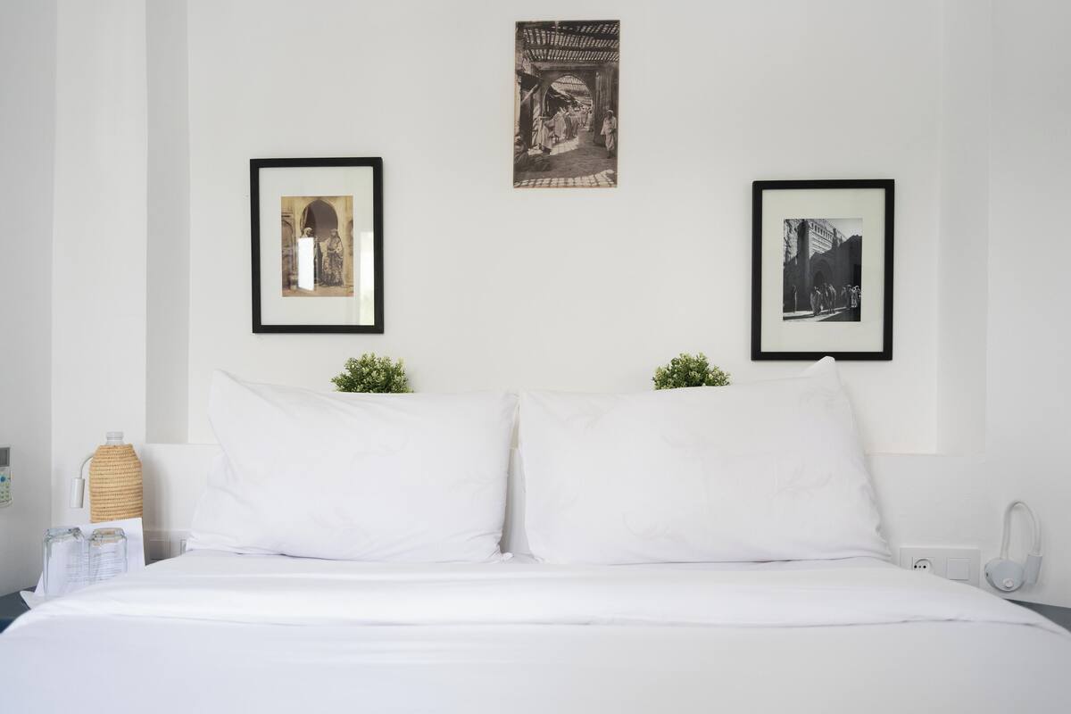 Habitación de hotel con cama, dos cuadros en la pared, una planta pequeña y una mesita de noche con lámpara.