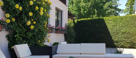 An outdoor seating area with a sofa and planters, a hedge, and a building with flower boxes.