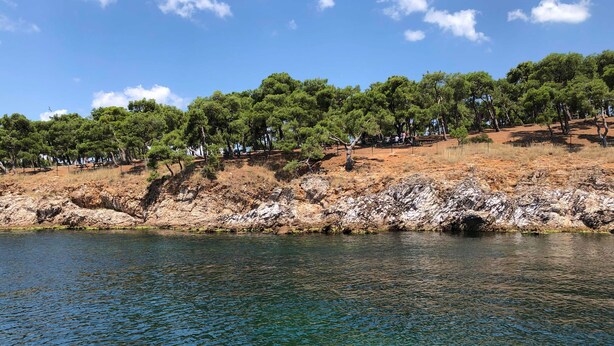A coastal landscape with a rocky shoreline, clear blue water, and a forested hill in the background. - Heybeli Butik Hotel (Adalar)