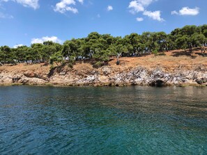 Un paysage côtier caractérisé par une rive rocheuse, une eau d’un bleu limpide et une colline boisée en arrière-plan.
