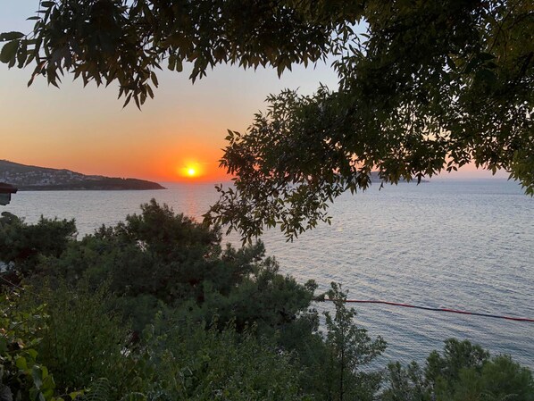 Un coucher de soleil sur une étendue d’eau, avec une côte lointaine et un feuillage dense au premier plan.