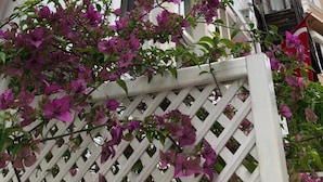 A hotel sign with the name "Heskel Hotel Boutique Hotel" and a white lattice structure with purple bougainvillea flowers. - Heybeli Butik Hotel (Adalar)