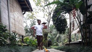 Unclassified image, 2 of 58, button - Kishi - Kishi Ubud Villa (Ubud)