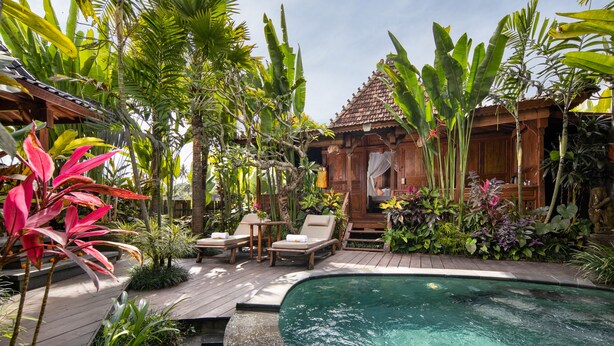 Un área de piscina con terraza de madera, sillas de descanso y plantas tropicales.