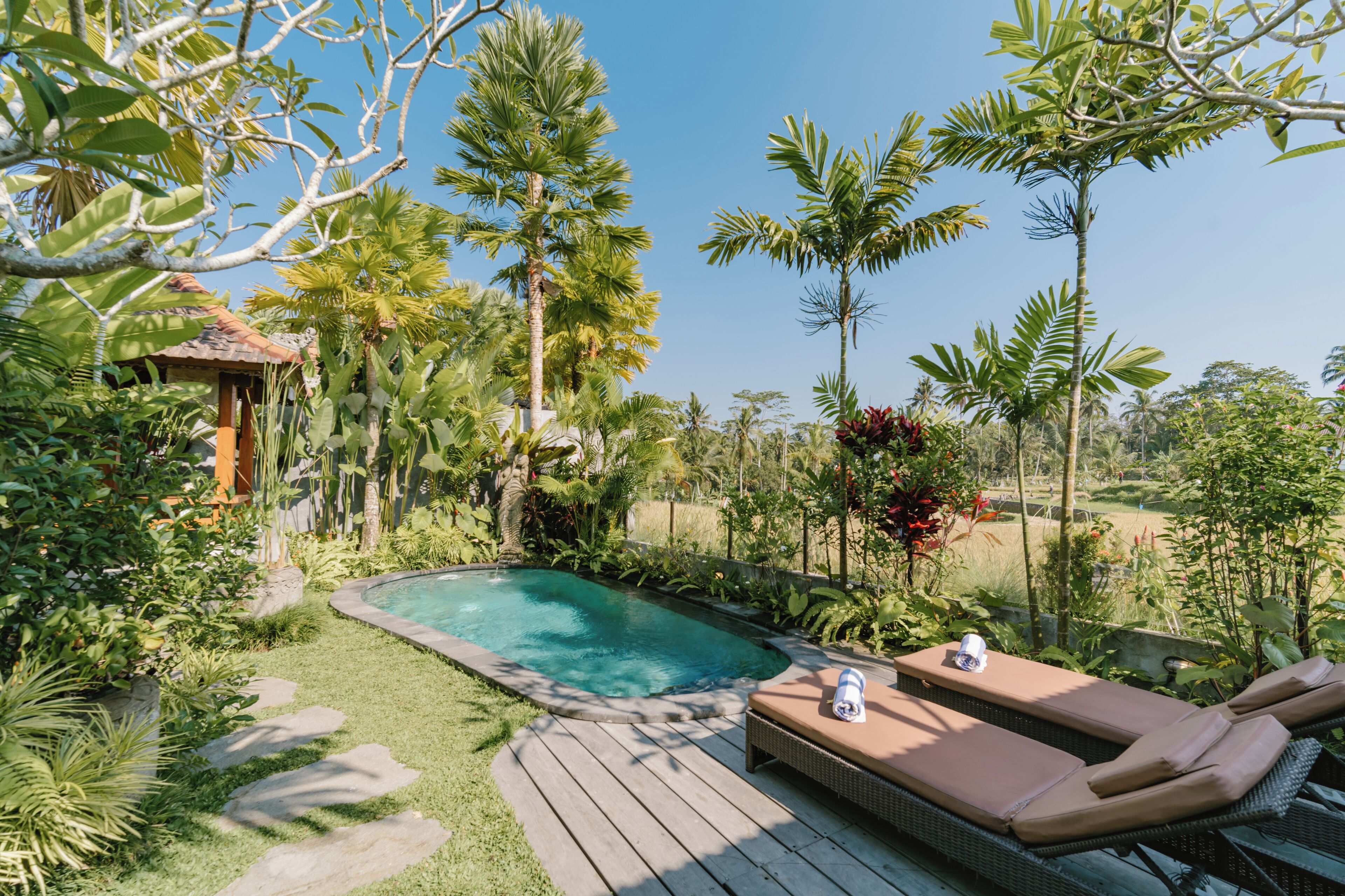 A pool with lounge chairs and a wooden deck, surrounded by tropical plants and a small building.