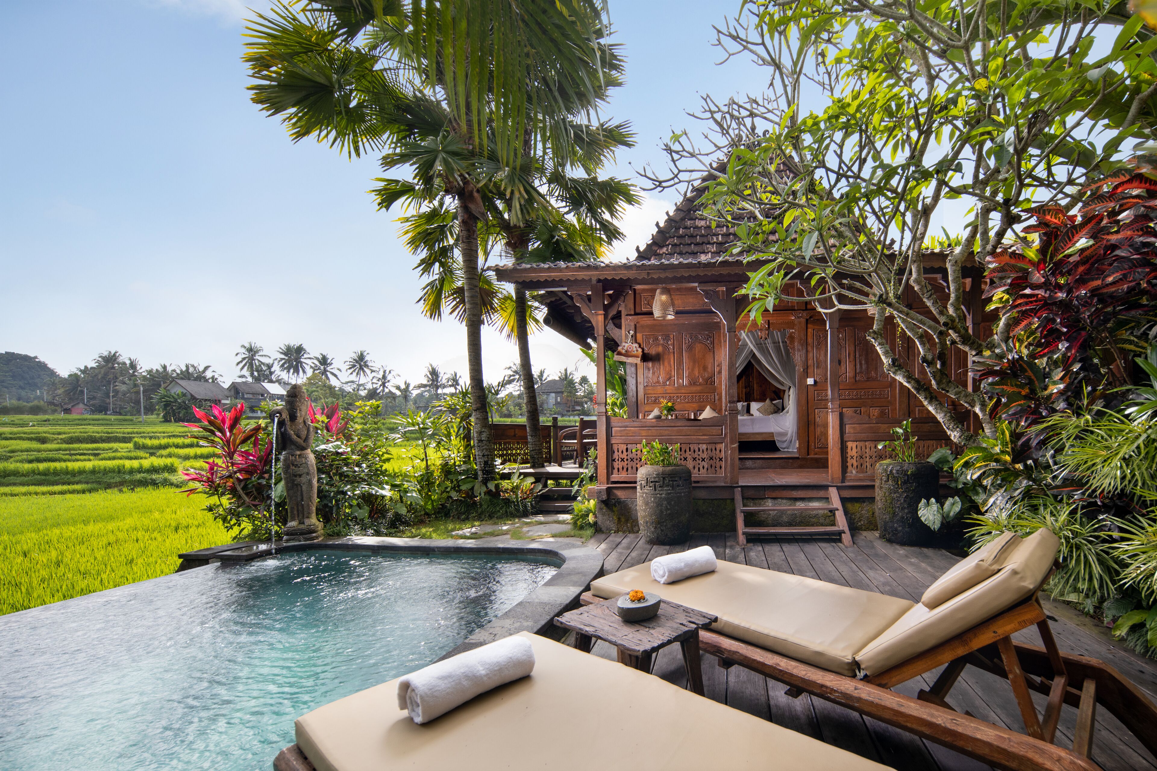 one bedroom private pool villa | pool | outdoor pool, pool loungers