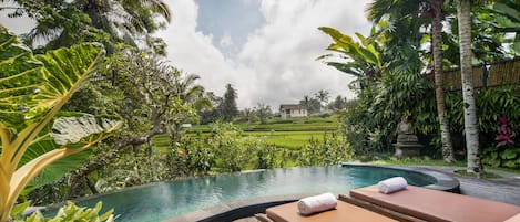 Una piscina al aire libre, sillones reclinables de piscina
