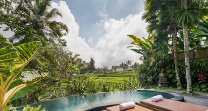 Madani Antique Villas