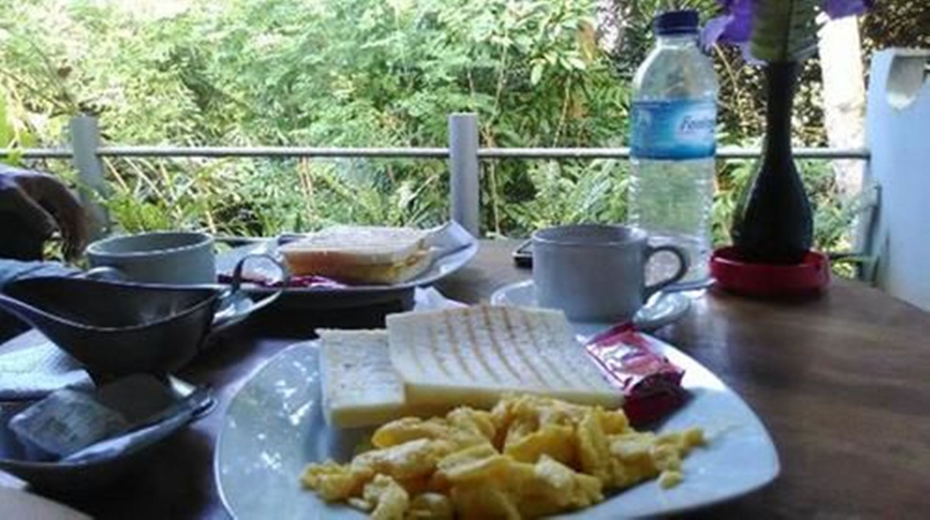 Photo - Omah D'Taman by EPS