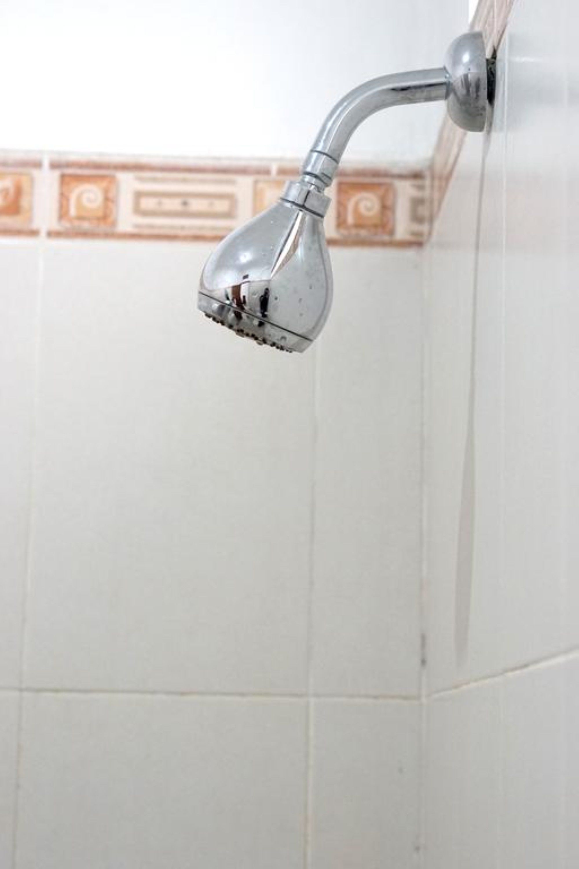 Photo - Omah D'Taman by EPS