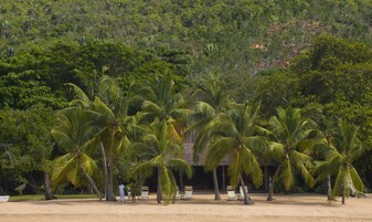 Una playa con palmeras y una estructura de techo de paja.
