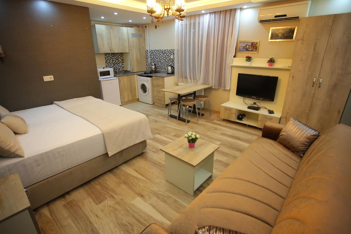 A compact living space with a bed, sofa, dining table, kitchen area, and a TV.