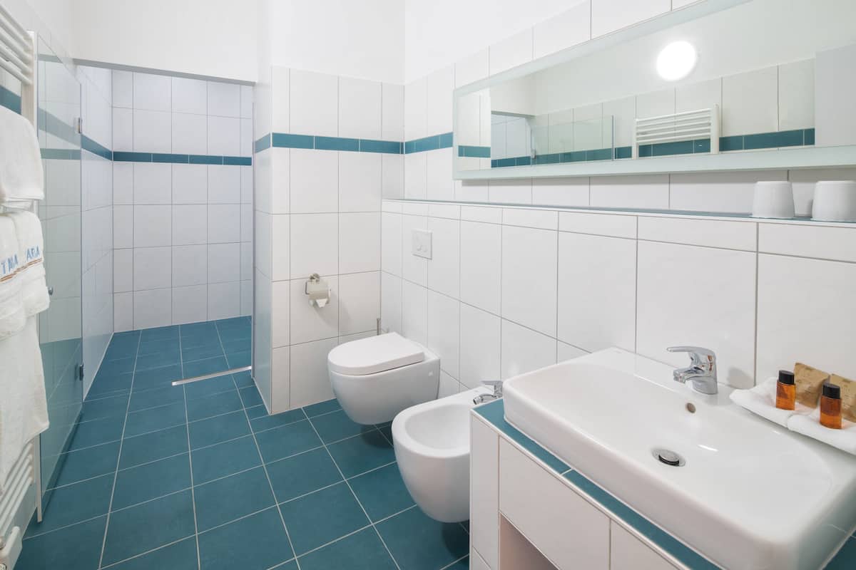 comfort double room | bathroom | shower, free toiletries, hair dryer, bathrobes