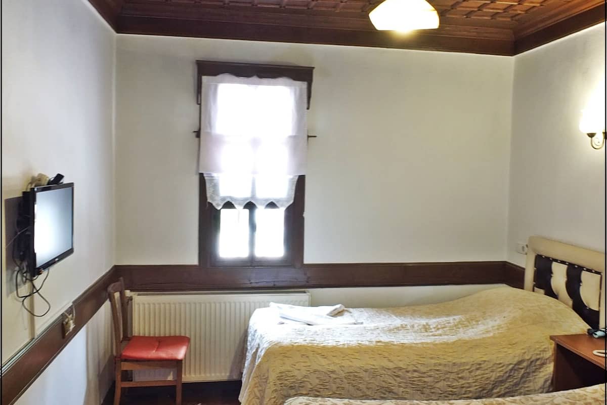 Habitación económica con 2 camas individuales | Escritorio, tabla de planchar con plancha, cunas gratuitas