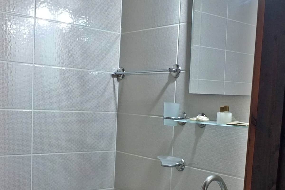 shower, free toiletries, hair dryer, slippers