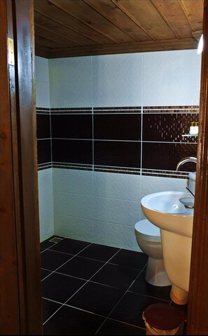 Shower, free toiletries, hair dryer, slippers