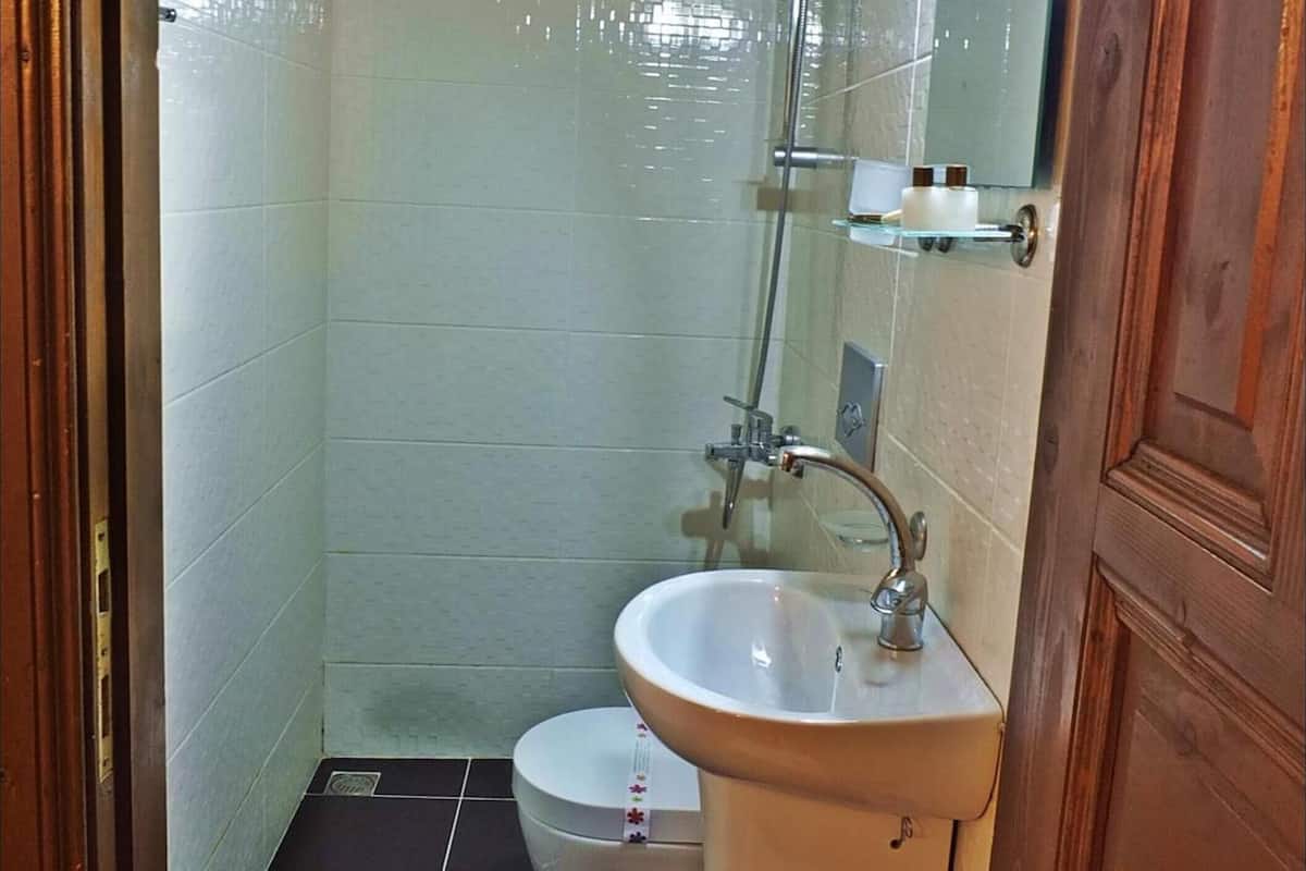 shower, free toiletries, hair dryer, slippers