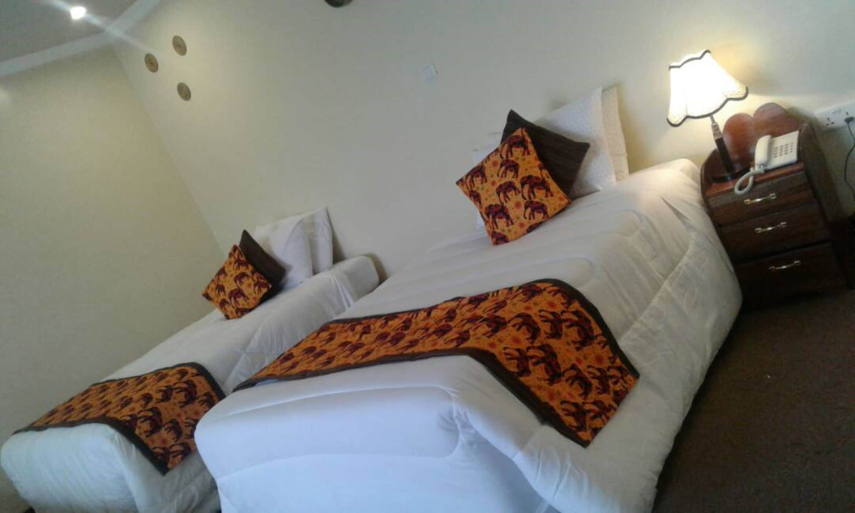 A double bed with white bedding and patterned throw pillows, a bedside table with a lamp, and a phone.