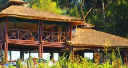 Da Vinci Gorilla Lodge