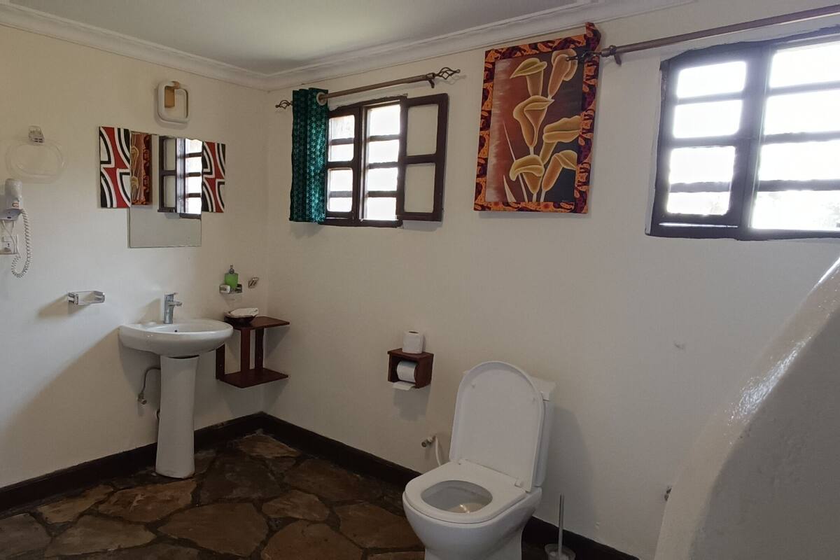 A bathroom with a white sink, toilet, and a mirror. There are two windows with curtains, and a telephone on the wall.