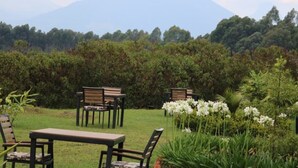 Un área de estar al aire libre con mesas y sillas, rodeada de abundante follaje y flores, con una montaña al fondo.