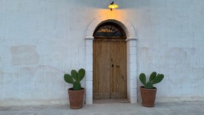 Una puerta de madera con un vano en arco, flanqueada por dos cactus en macetas, y un aplique en la pared superior.