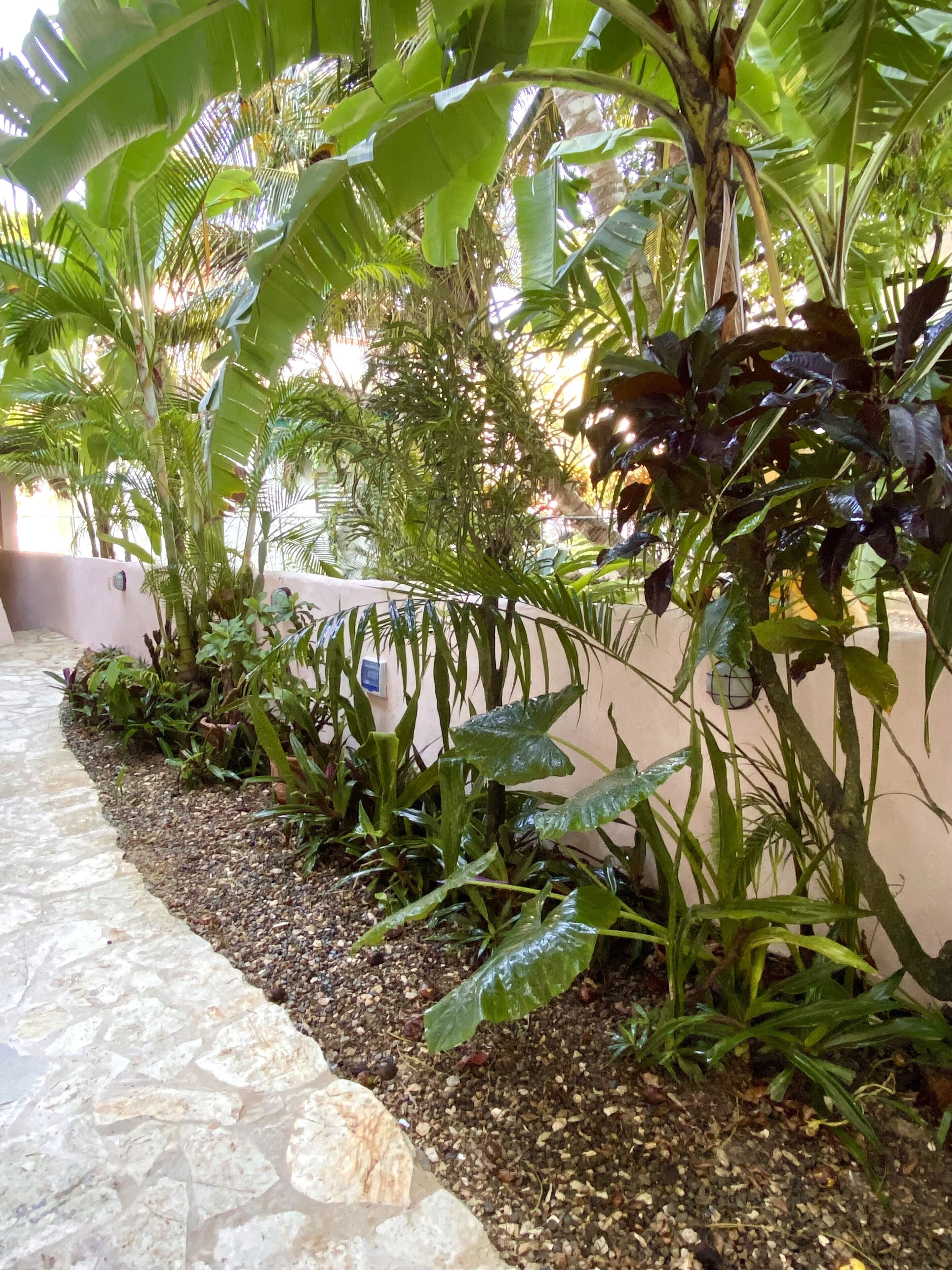 Foto - Hotel Alegria