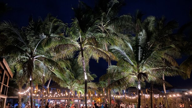 A beachside venue with palm trees, string lights, and outdoor seating areas. - Hotel Alegria (Cabarete)