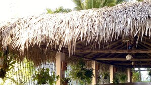 An outdoor dining area with thatched roof, wooden tables, and chairs, surrounded by potted plants and palm trees. - Hotel Alegria (Cabarete)