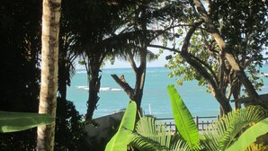 A view of the ocean through a tropical setting with palm trees and a wooden fence. - Hotel Alegria (Cabarete)