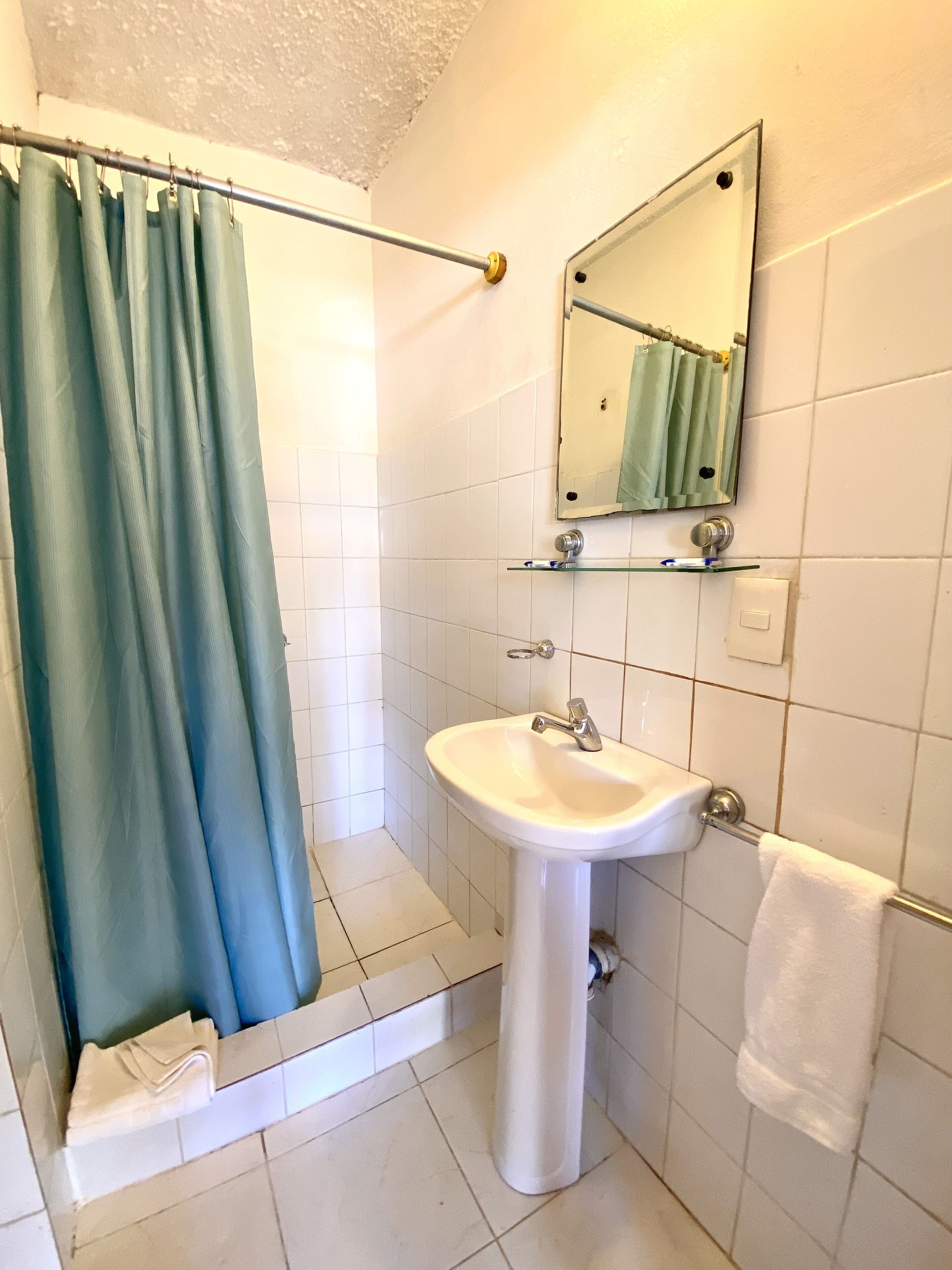 Foto - Hotel Alegria