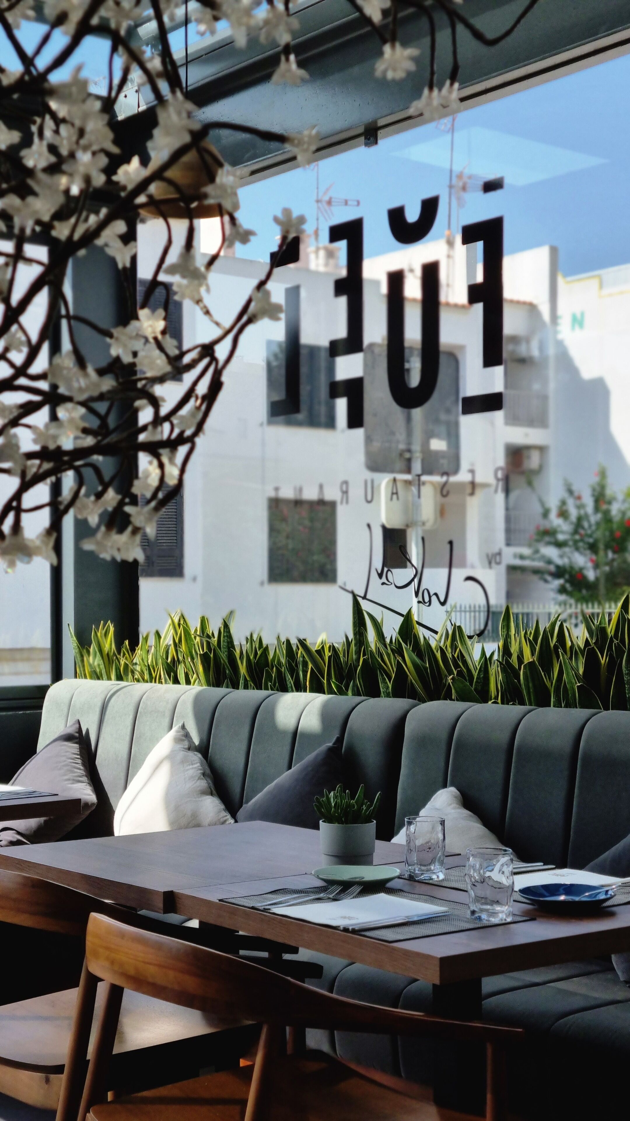 Un espace extérieur aménagé avec un canapé, une table et des chaises, un pot de fleurs et une fenêtre donnant sur des bâtiments.