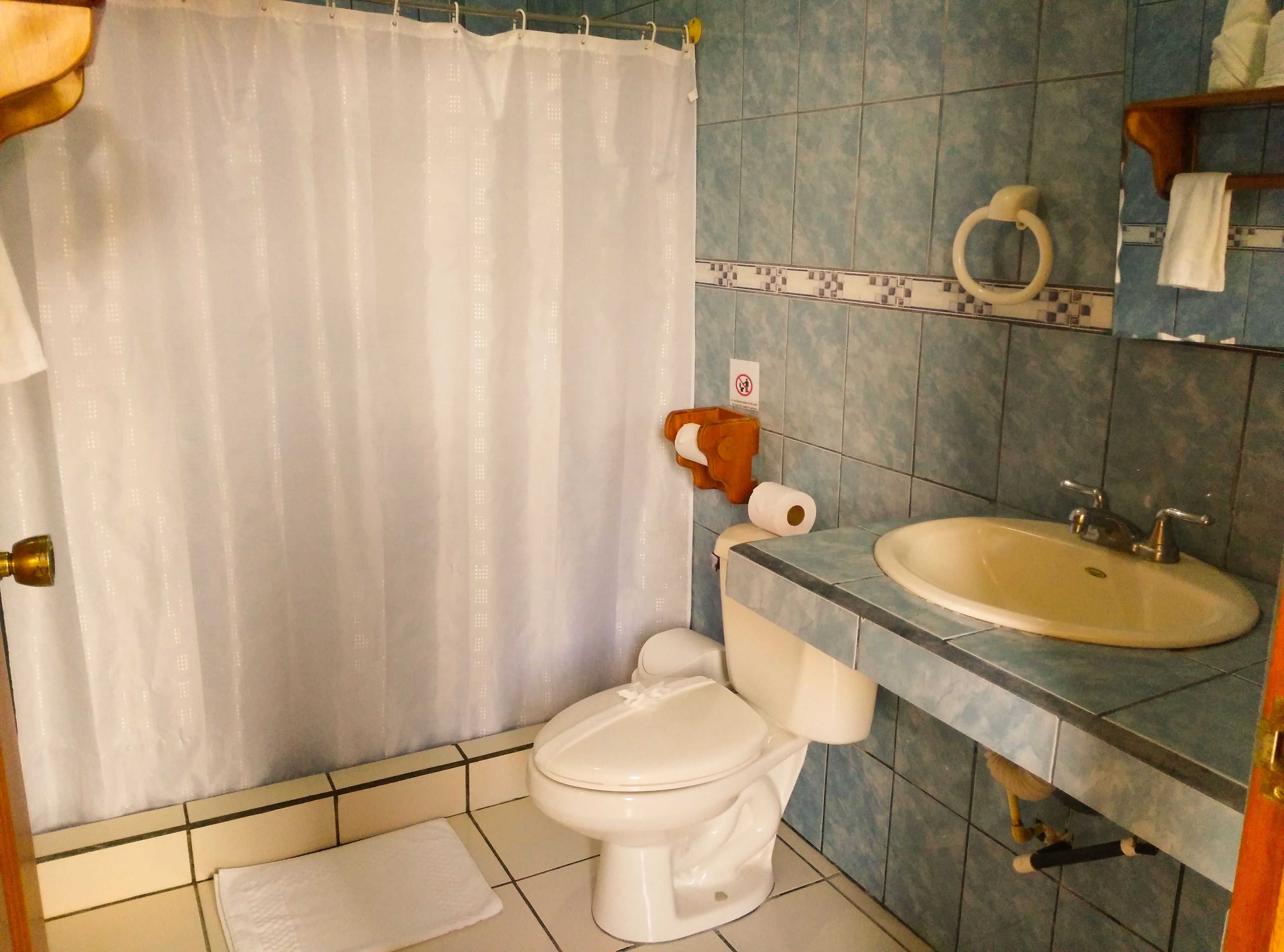 standard room | bathroom | shower, free toiletries, hair dryer, towels