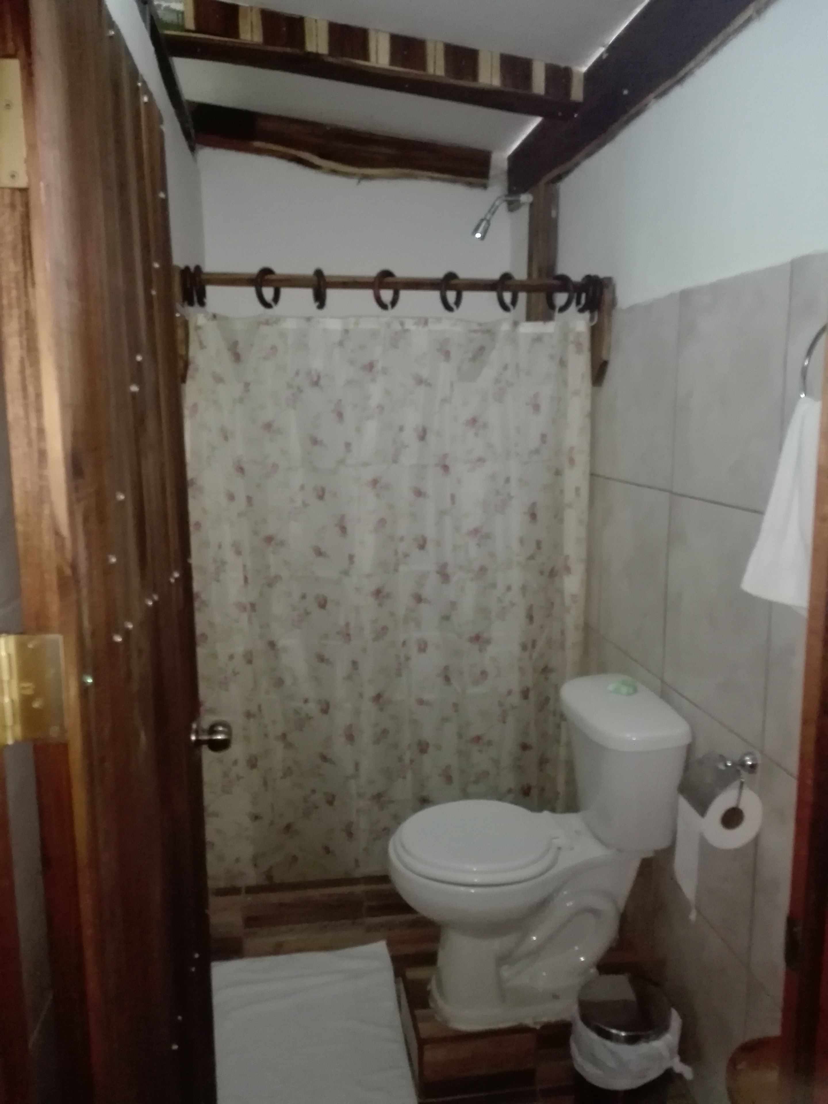 superior room | bathroom | shower, free toiletries, hair dryer, towels