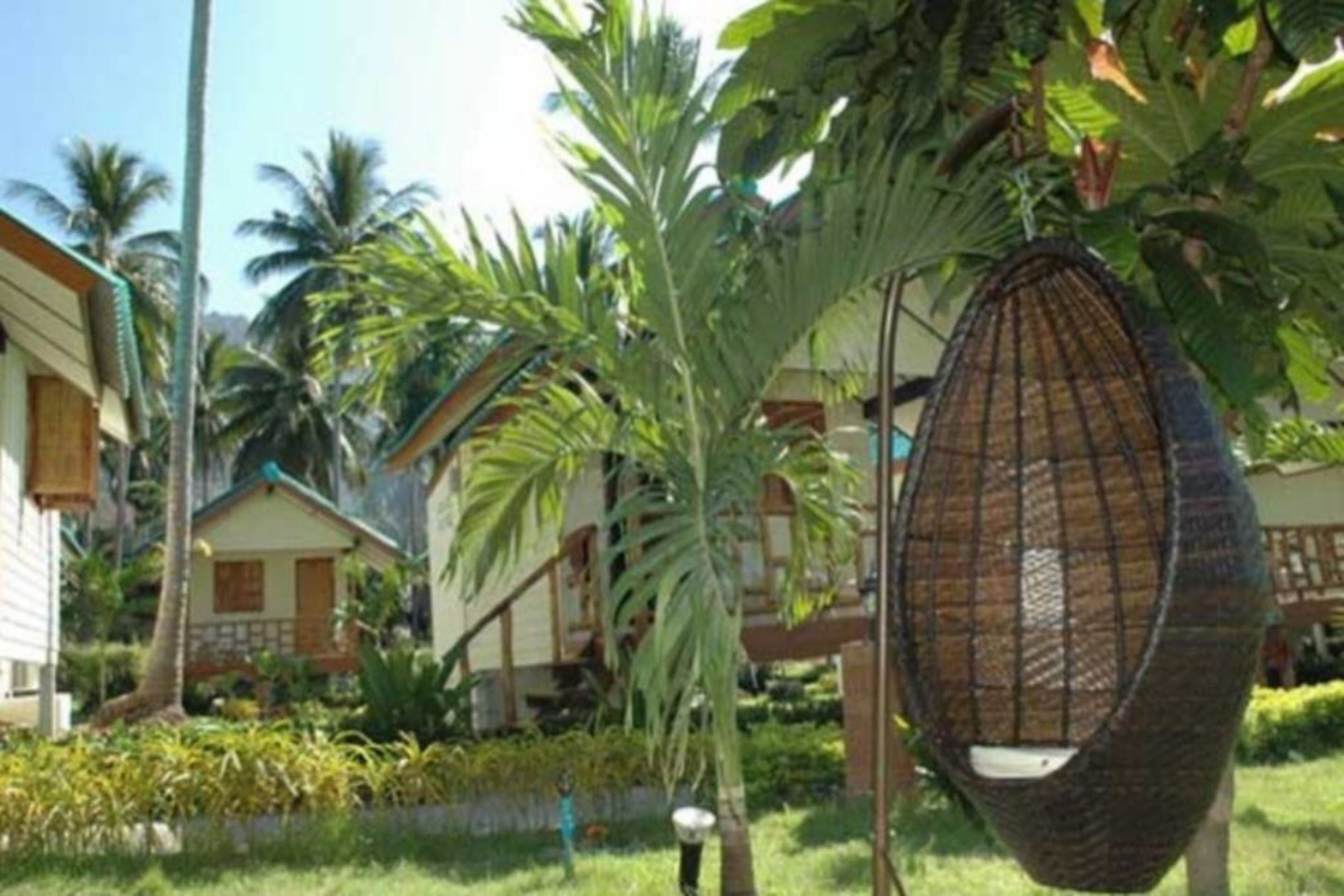 Una silla colgante en un jardín exuberante, con palmeras y una cabaña de fondo.